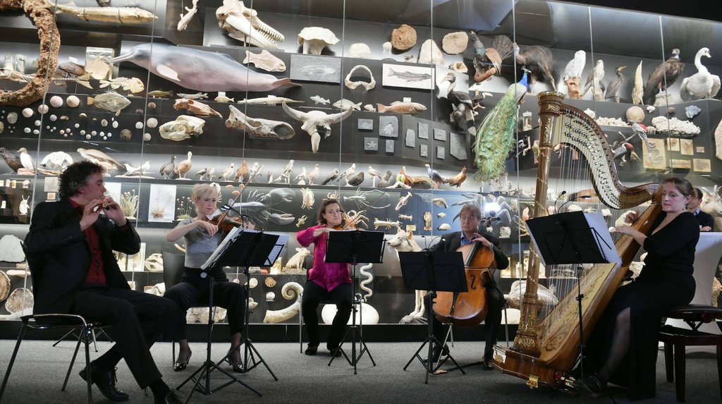 Chamber music concert for Global Friends in Frankfurt